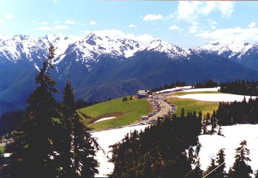 Hurrican Ridge - looking over the visitor center